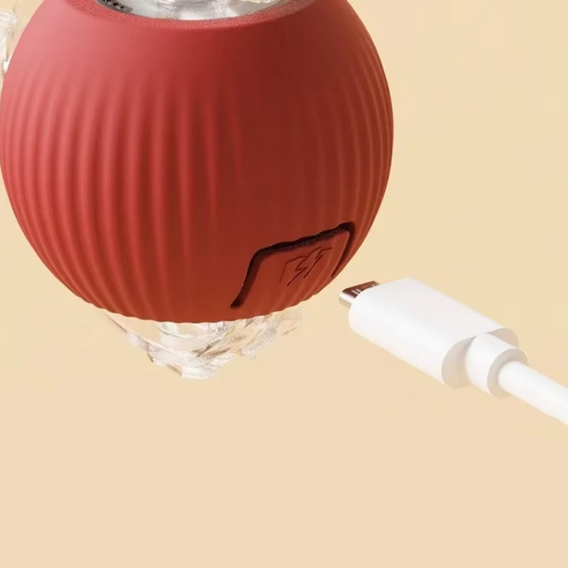 Interaktiver Spielball für Katzen – Spaß und Bewegung für drinnen