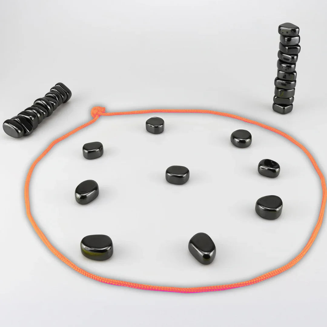 Familien Schachspiel mit Magneten