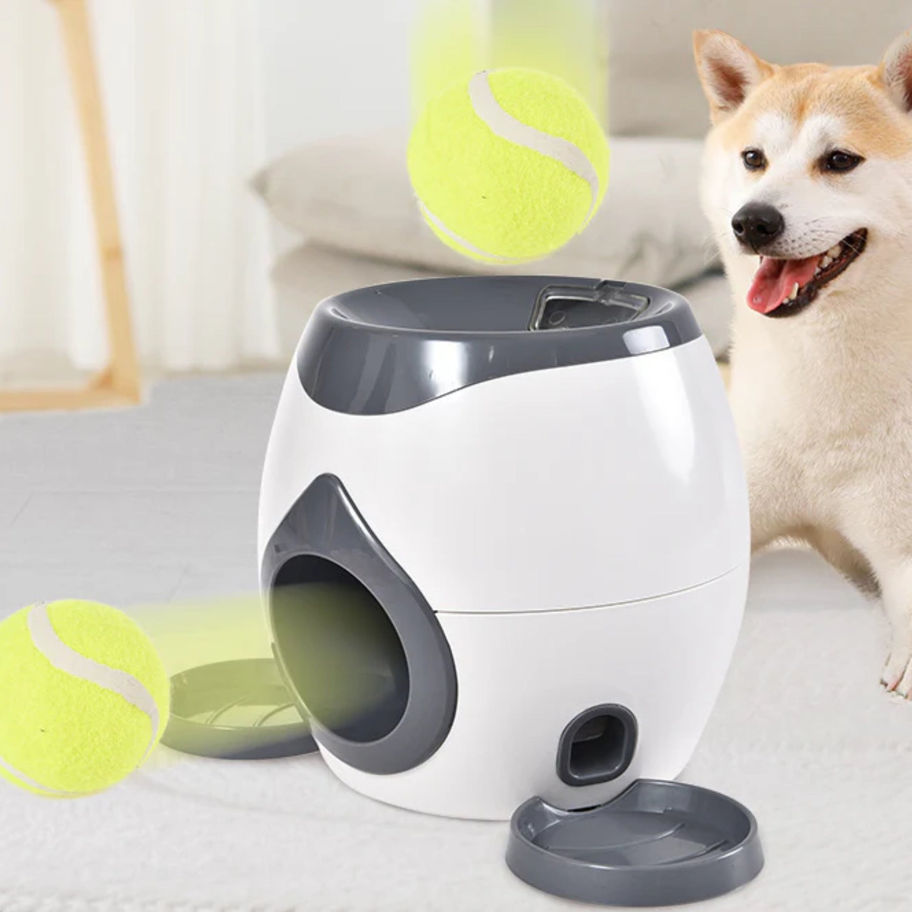 Active Play Ball Launcher for Dogs | Stress-Free Playtime Fun