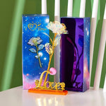 Bunte Galaxie Rose