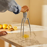 CitrusDelight – Maximize Juice Enjoyment with No Effort