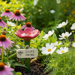 BlütenWasser – Your solution for a flourishing garden