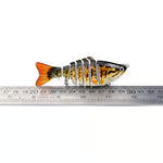 Fangmeister – The Perfect Solution for Successful Fishing Trips