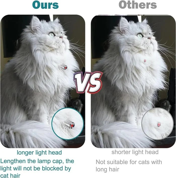 Interaktives Laser-Spielhalsband für Katzen – Spaß ohne Aufsicht