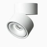 Schwenkbares LED-Deckenstrahler in stilvollem Schwarz und Weiß