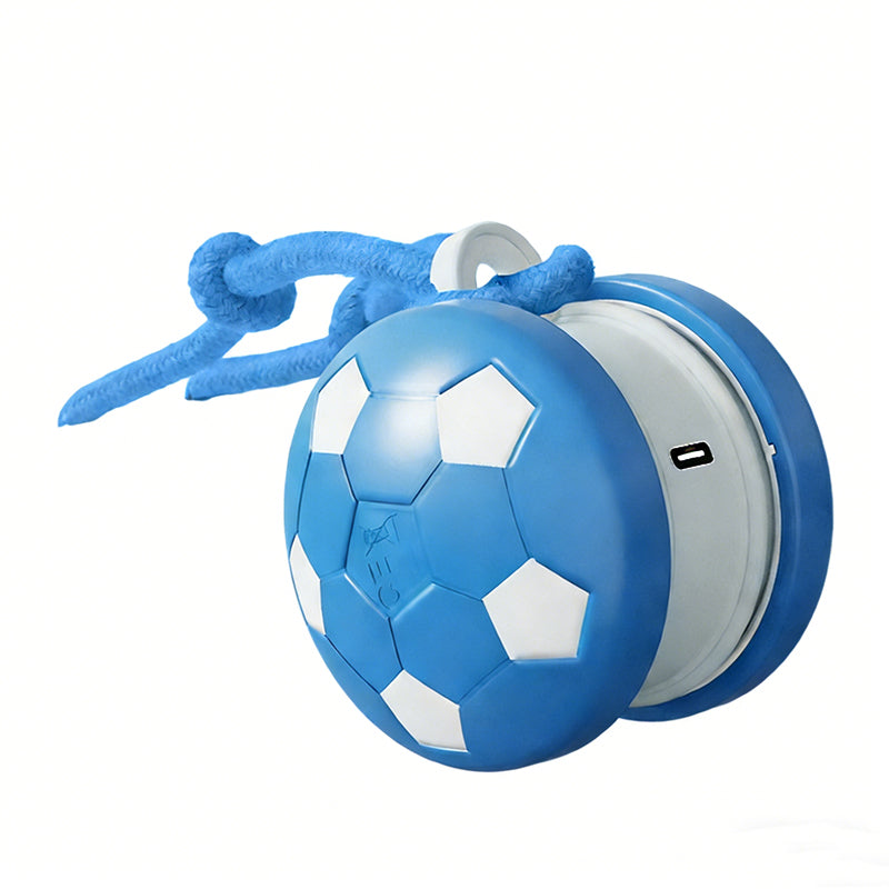 Interaktiver Spielball für Hunde mit USB-Ladung