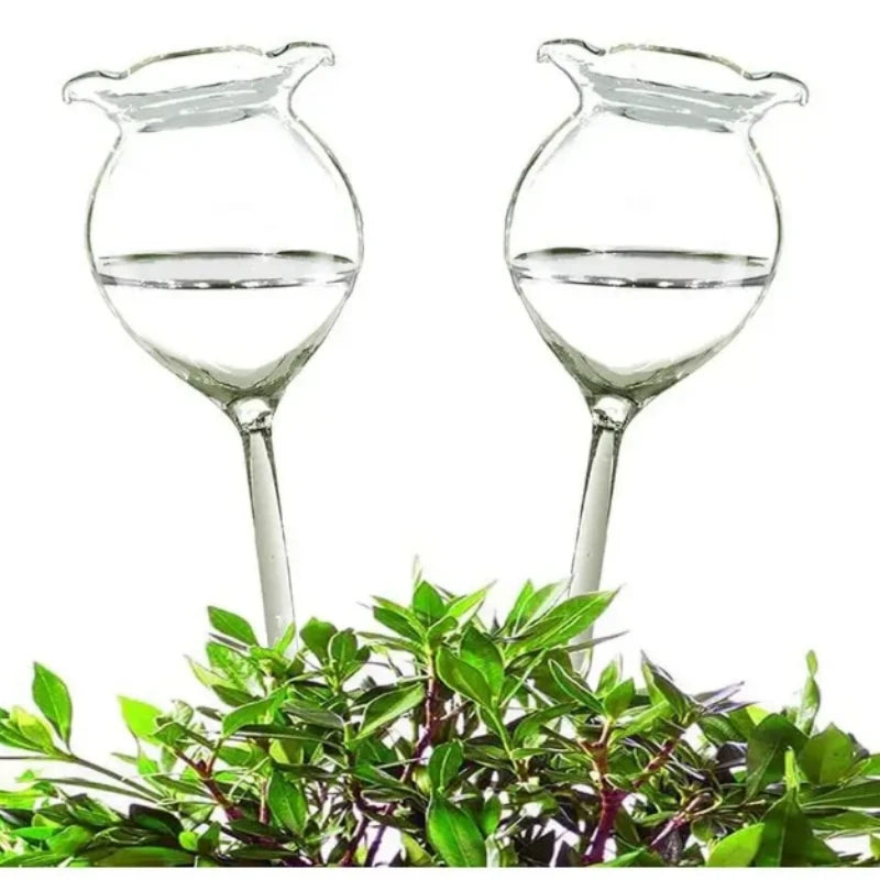 AquaSphere Automatic Plant Watering Globes | Set of 2 Handmade Glass