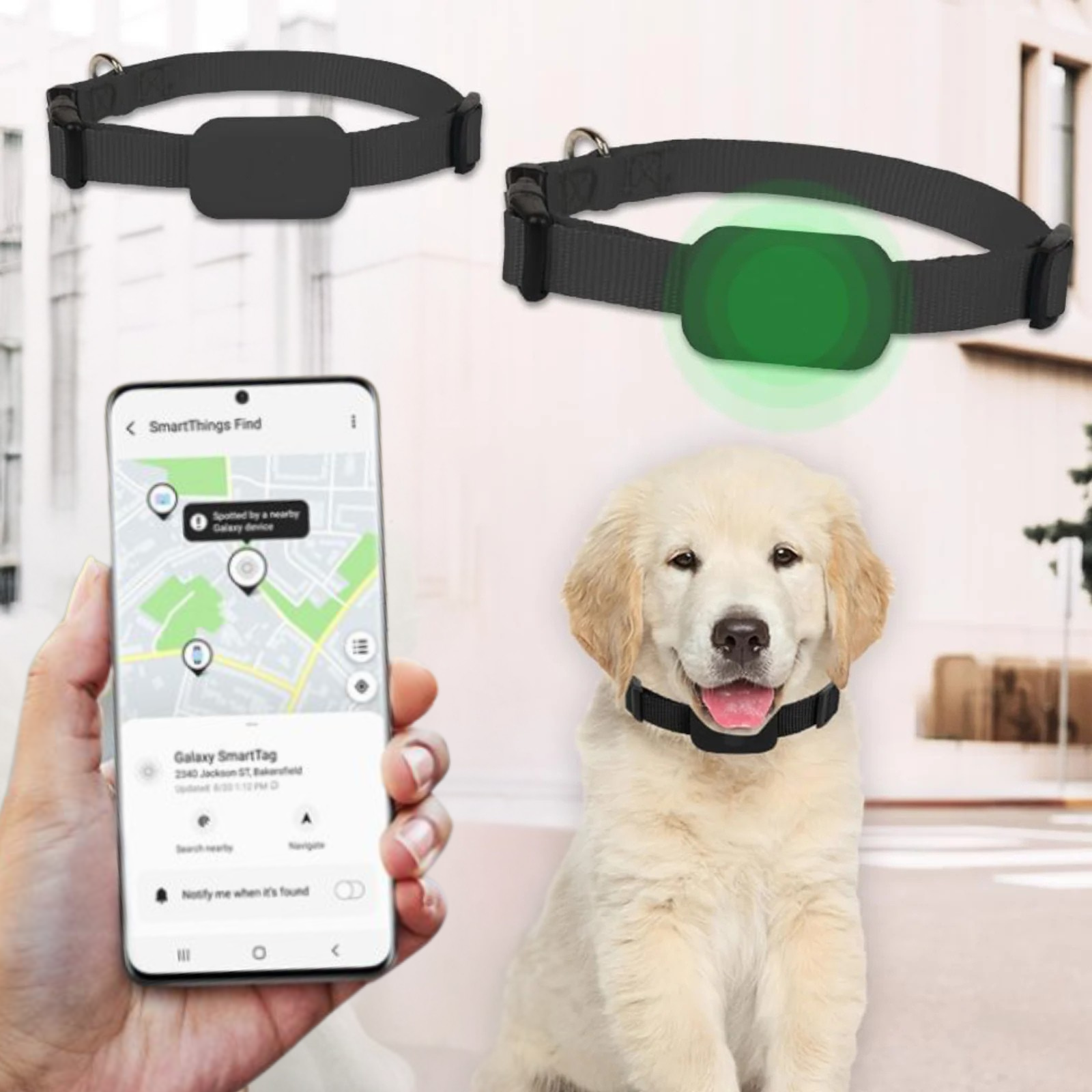 FidoFinder Mini – Intelligenter Bluetooth-Halsbandtracker für Haustiere