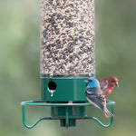 Sicherer Vogelfutterspender – perfekt für Ihren Garten