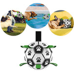 AktivBall – The perfect playmate for dogs in water and on land