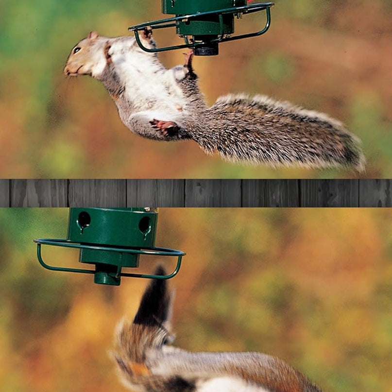 Sicherer Vogelfutterspender – perfekt für Ihren Garten