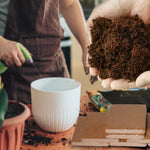 HydroGrow - Optimal Moisture for Healthy Plants
