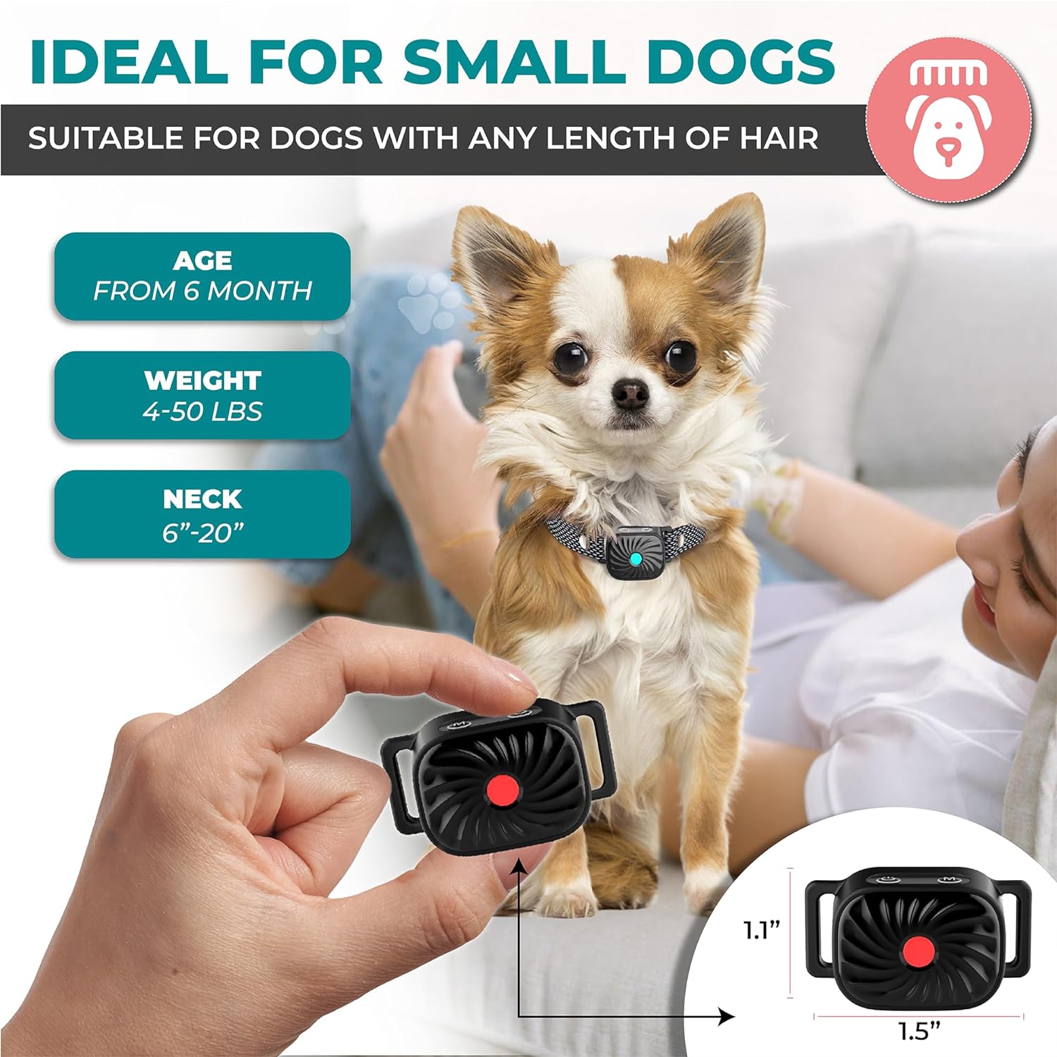 Halsband zur Bellkontrolle für kleine Hunde