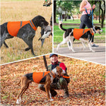 Sicherheitsweste für Hunde – Hohe Sichtbarkeit bei Dämmerung