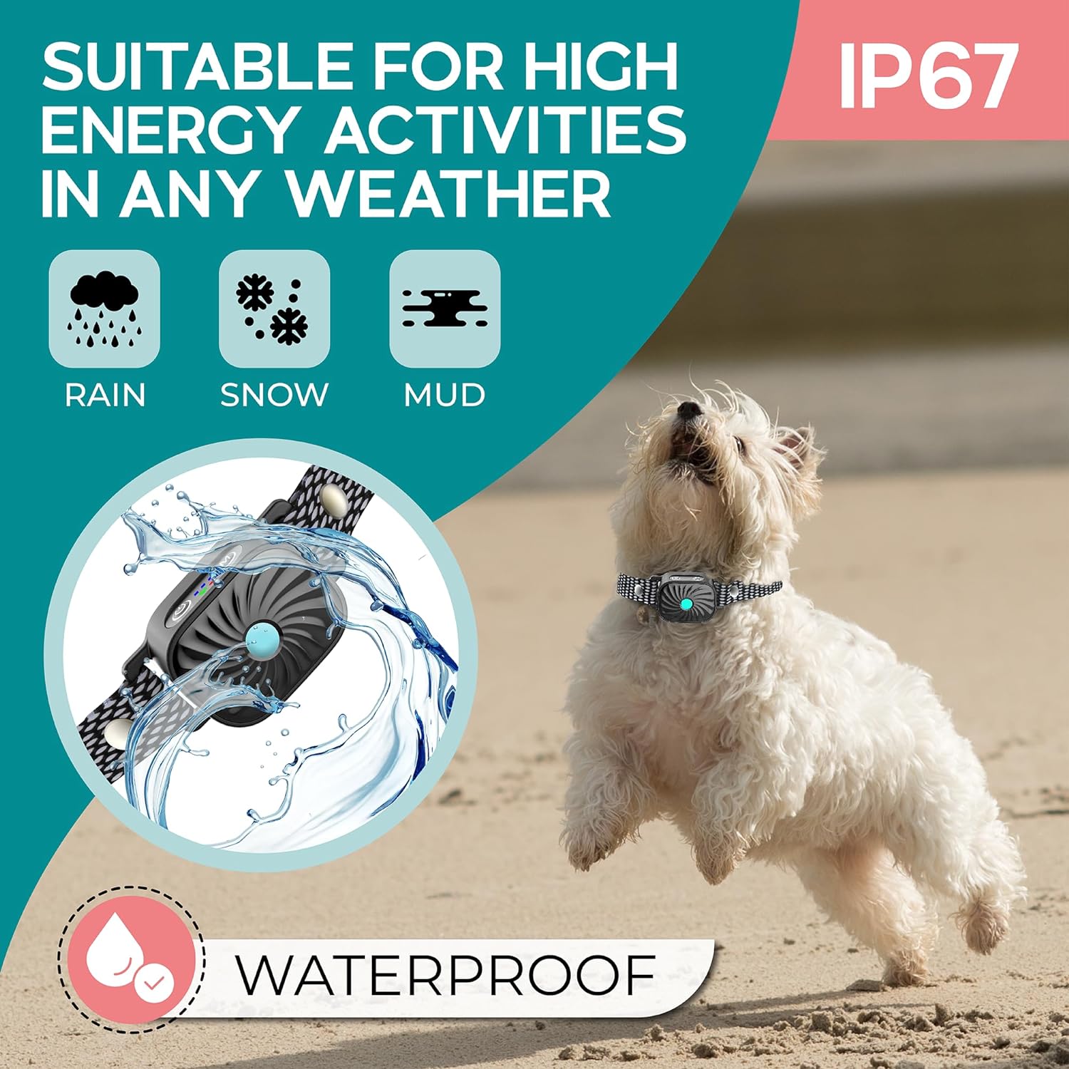 Smart Bark Control for Small Dogs