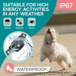Smart training collar for small dogs