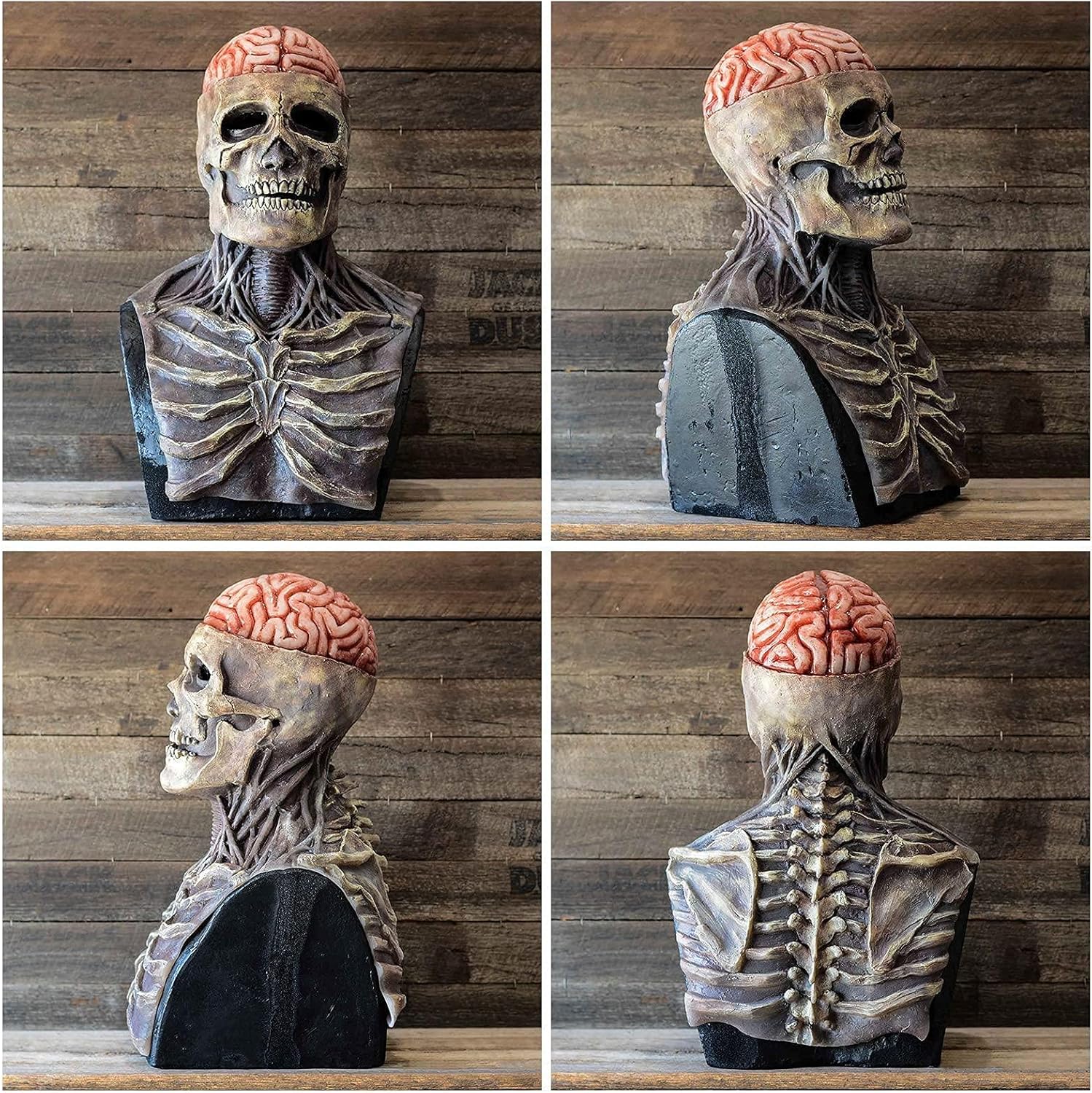 Kreative Halloween Totenkopfmaske mit Gehirn-Design