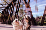 Two-dog retractable leash with 360-degree swivel mechanism