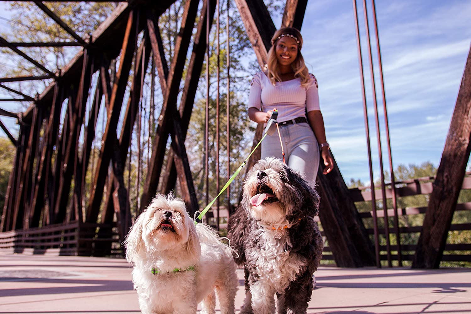 Two-dog retractable leash with 360-degree swivel mechanism