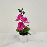 Elegante Künstliche Orchideen-Bonsai für Ihr Zuhause