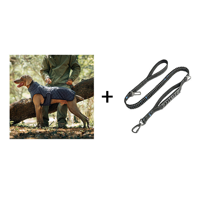 Dog Winter Coat – For warm and safe walks