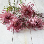 Elegant Art Chrysanthemum 38 cm | Realistic 10 cm Bloom