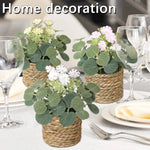 Eucalyptus Dream – Mini Artificial Plant in Braided Basket | 11 cm