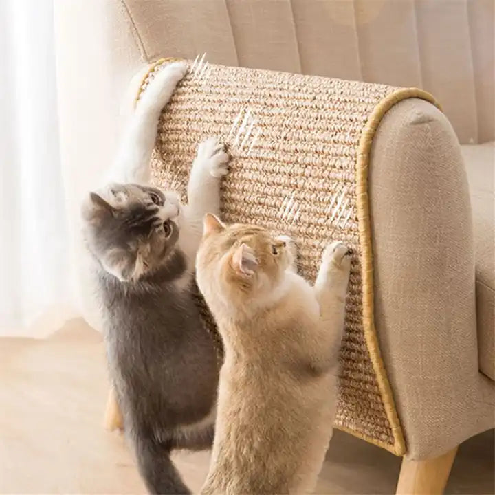 Cat Protection – Your Furniture Safe and Your Cat Happy