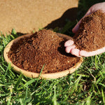 HydroGrow - Optimal Moisture for Healthy Plants