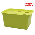 EdenGrow 6-Plant Hydroponics System with Air Pump | Compact Growing Solution