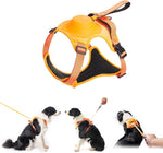 FlexiLeash | All-in-One Hundegeschirr mit einziehbarer Leine