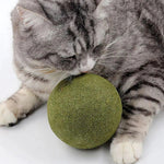 Catnip Balls for Playful Dental Care