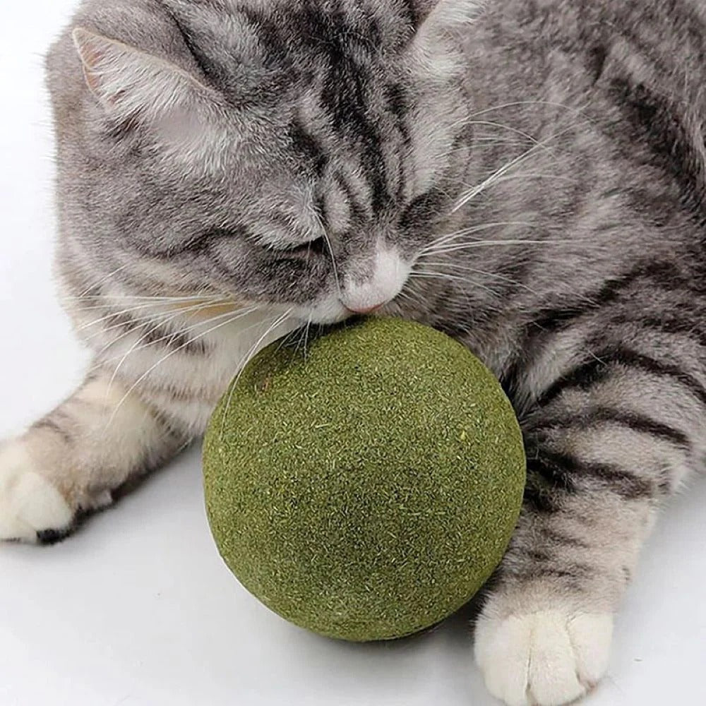 Catnip Balls for Playful Dental Care