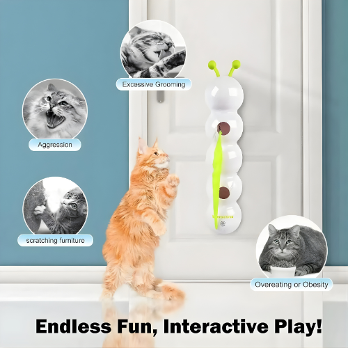 Bewegliches Wandspielzeug für Katzen zur Förderung von Aktivität
