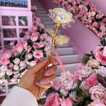 Bunte Galaxie Rose