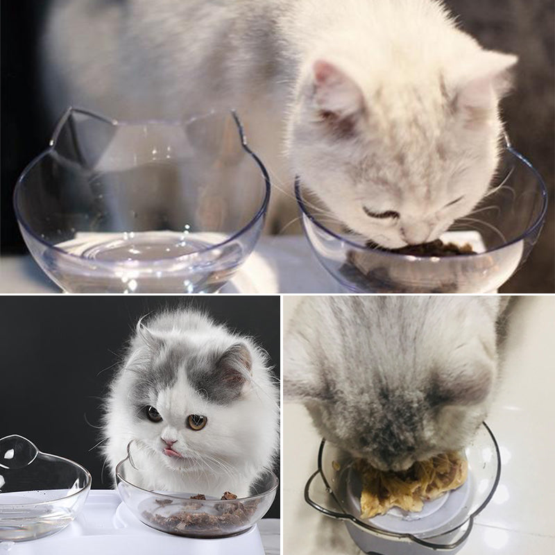 Katzennapf für Futter
