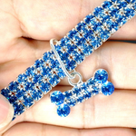 Glitzernde Hundefreundschaft: Stilvolles Halsband