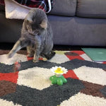 Katzenfreude | Interaktives Spielzeug für Ihre Katze