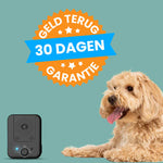 HundeHarmony Noise-Free Anti-Bark System | Create a Peaceful Atmosphere