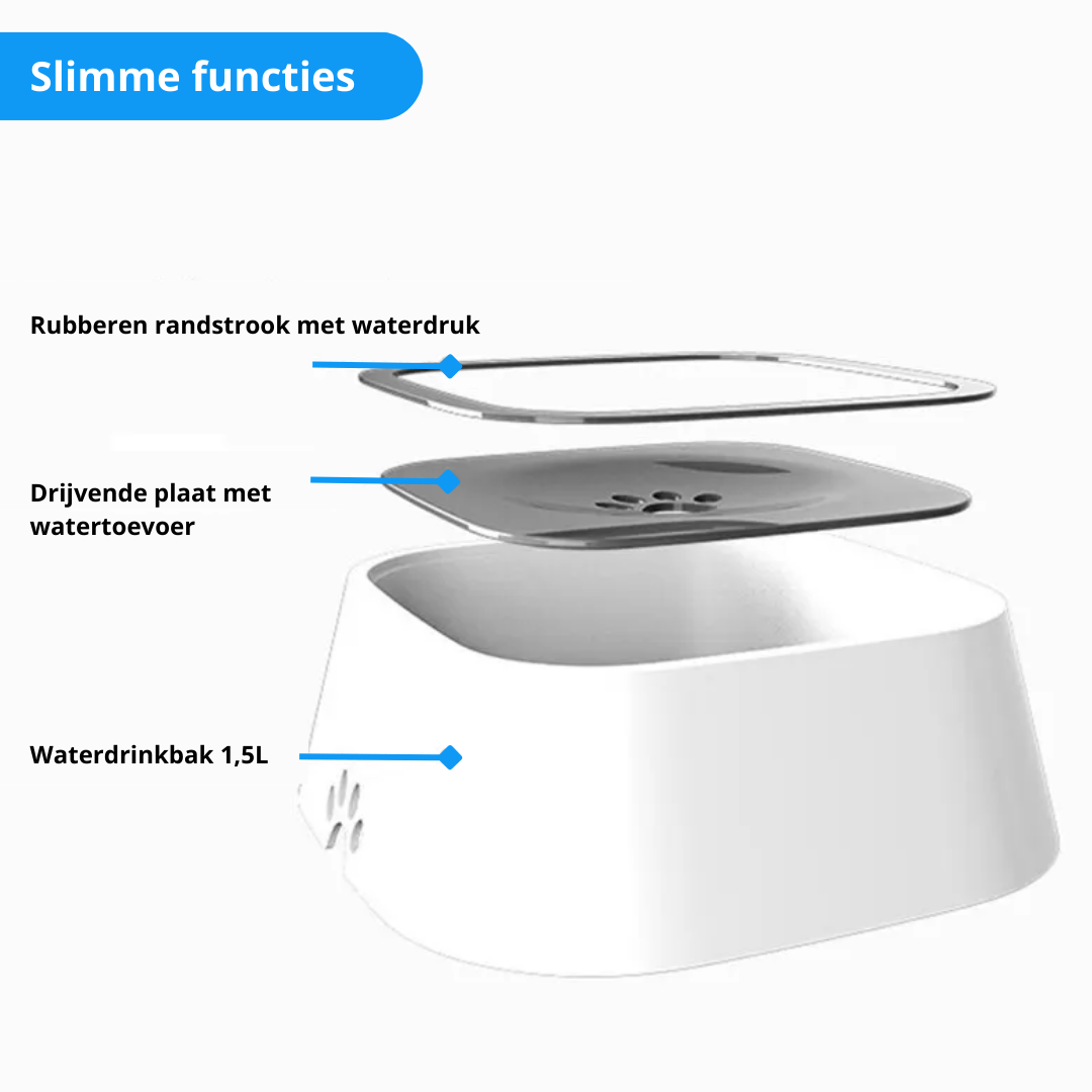 The Clean Water Bowl for Your Loyal Companion