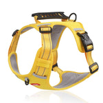 Sicheres und bequemes Hundegeschirr für entspannte Spaziergänge
