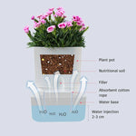Water-Saving Plant Friend – Automatic Watering Made Easy