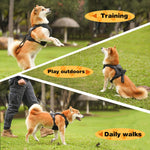 FlexiLeash | All-in-One Hundegeschirr mit einziehbarer Leine