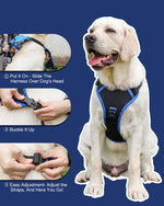 FlexiLeash | All-in-One Hundegeschirr mit einziehbarer Leine