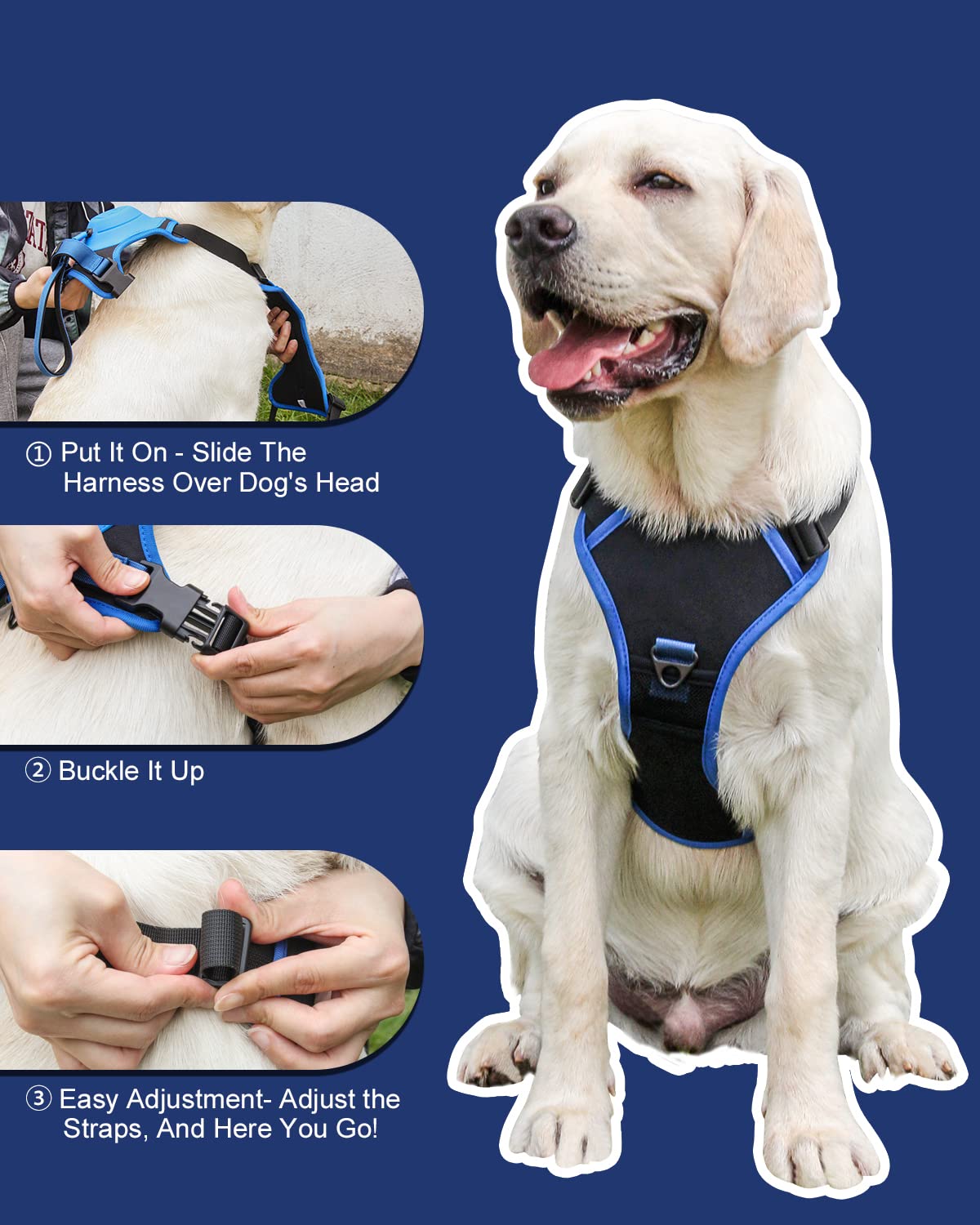 FlexiLeash | All-in-One Hundegeschirr mit einziehbarer Leine