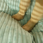 Komfortables Orthopädisches Hundebett für Alle Hunderassen