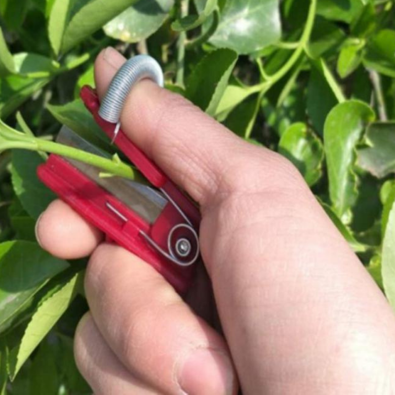 ErnteProfi - Effortlessly pick fruit and vegetables without damage