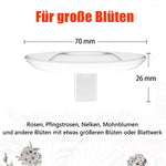 BlütenEleganz – Perfect Presentation for Your Flowers