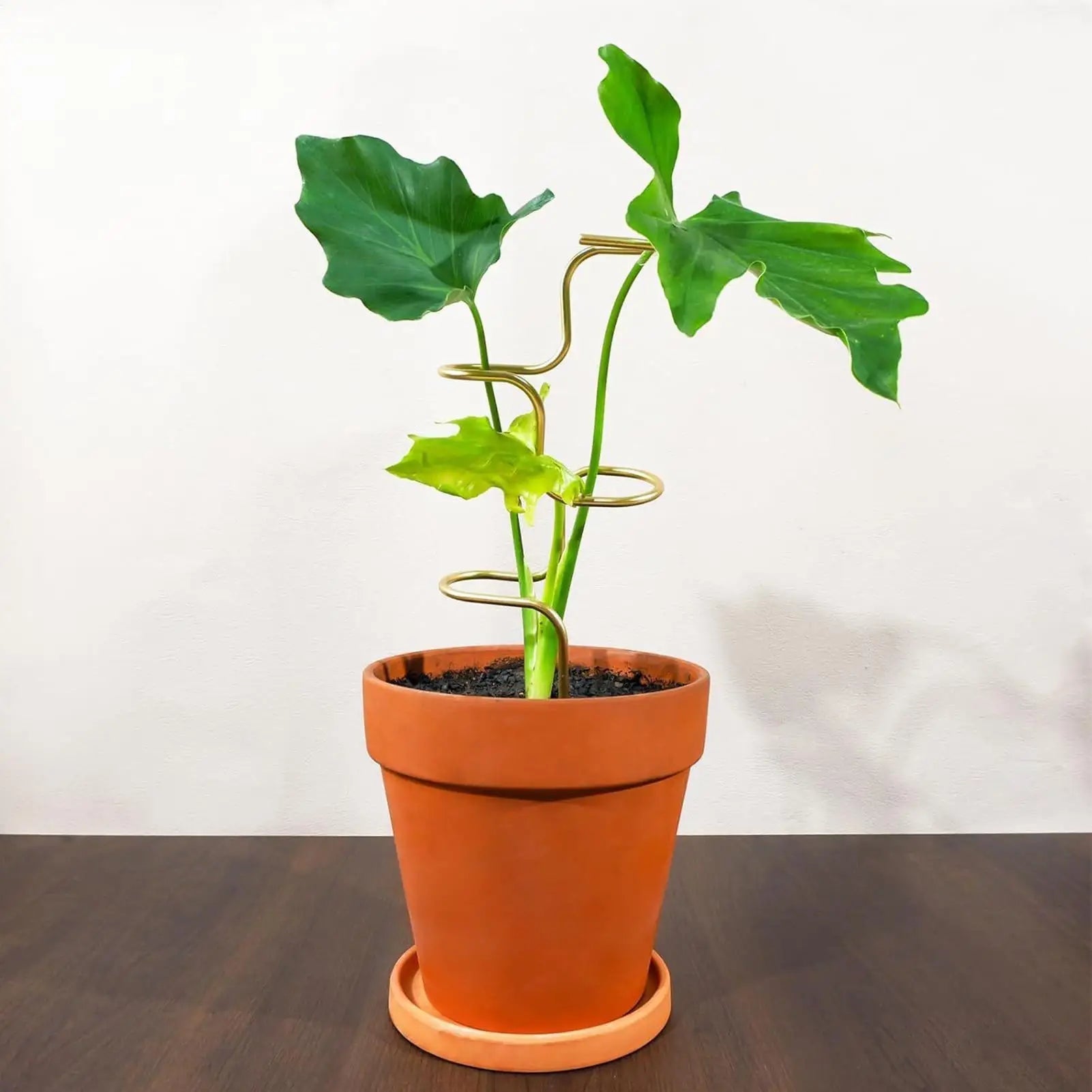 Stable Plant Support with Leaf Motif | 32 cm