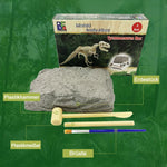 DinoEntdecker | Fossilien-Ausgrabungsset für Kinder